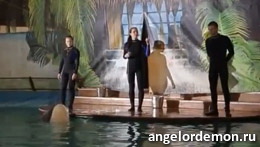Хроники сериалов: «Ангел или демон»